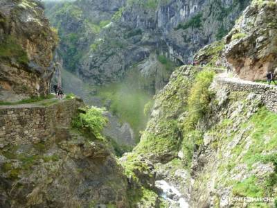 Ruta Cares-Picos de Europa; hacer amigos madrid sierra noroeste costa de vizcaya rutas grazalema